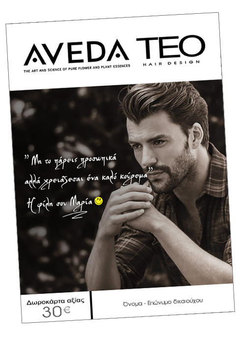 Aveda teo gift card Men Aveda teo gift card Men