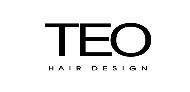 TEO LOGO TEO LOGO